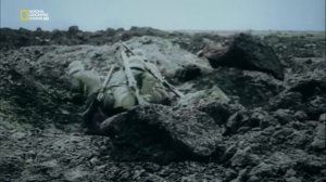 На западном фронте без перемен - Исторический обзор