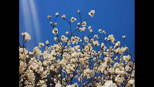 104 смотреть онлайн