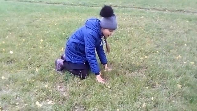 Сегодня я пошла за картошкой в огород... смотреть онлайн