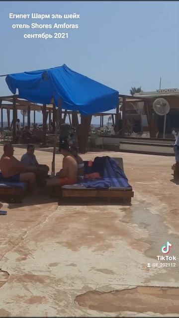 Египет Шарм эль шейх отель Shores Amforas смотреть онлайн