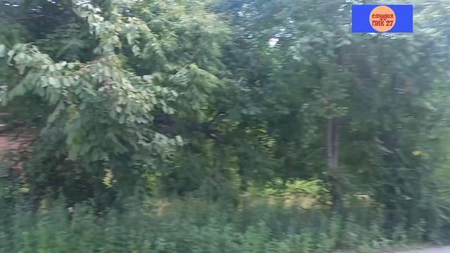 21.07.2023. Прогулка по базе КАФ. Хабаровск. смотреть онлайн