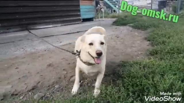 Знакомьтесь это КИДА смотреть онлайн