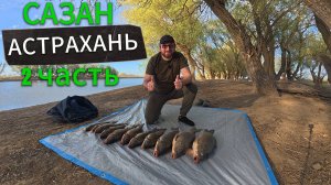 ОДИН! ДИКАРЕМ! В АСТРАХАНЬ!!! ВЕСНА 2025! САЗАН!!! 2ая Часть!