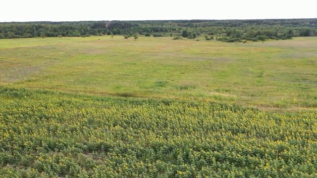 18 08 21 28 смотреть онлайн