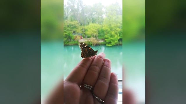 Джубга ранним утром 2019 смотреть онлайн