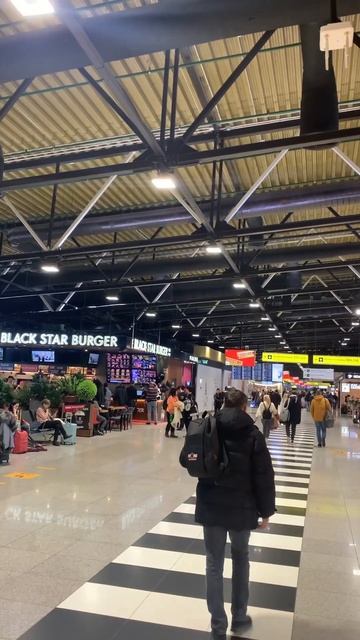 Аэропорт Шереметьево, Терминал B, г. Москва, 18.02.2023 смотреть онлайн