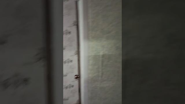 Гостевые дома Болгары (Балымеры) смотреть онлайн