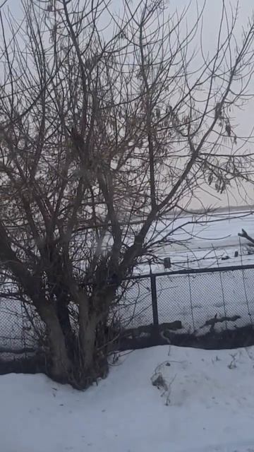 вид с окна смотреть онлайн