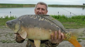 ТРОФЕЙ клевал только на ЭТО!!! #карп #сазан #рыбалка #макушатник #флэтфидер