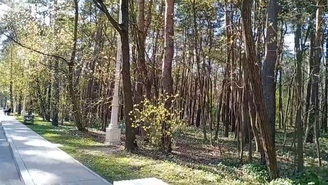 Зеленая зона в парке ВДНХ смотреть онлайн