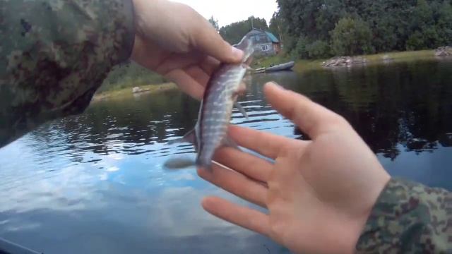 Путешествие в Карелию 2020. часть 3. #рыбалканаспиннинг #карелия #семейныйотдых смотреть онлайн