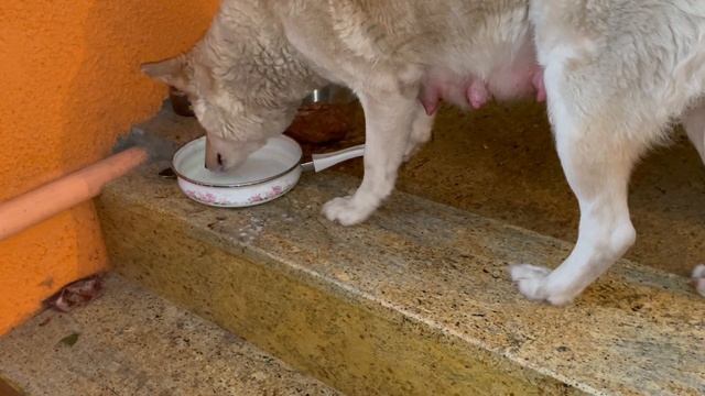 Восемь литров быстро заканчиваются. смотреть онлайн