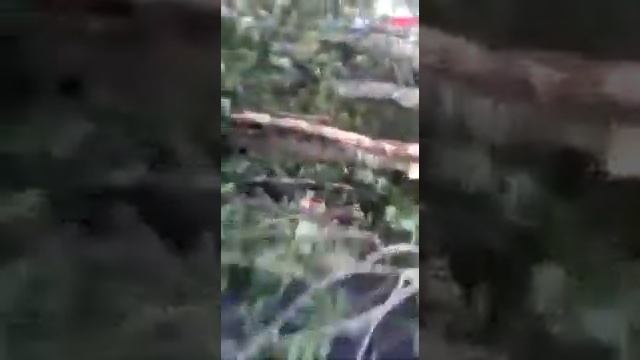 Москвада болгон шамаал!! смотреть онлайн