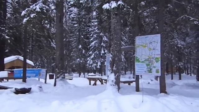 Развилка на Фонтаны 18.01.2017 (Петрозаводск) смотреть онлайн