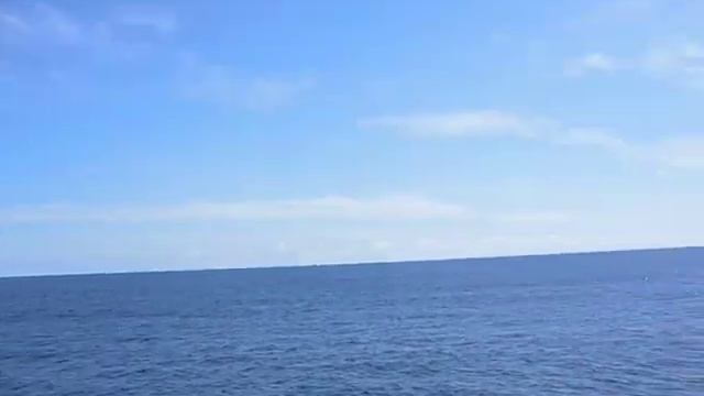 PNG Swim Call Back Flip смотреть онлайн