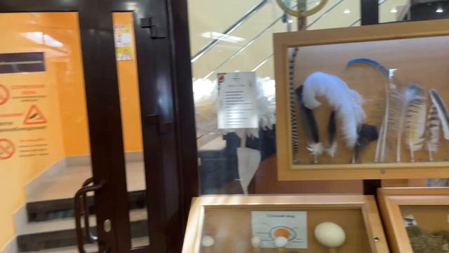 Поездка в Ижевск. Ижевский Зоопарк Часть 1.