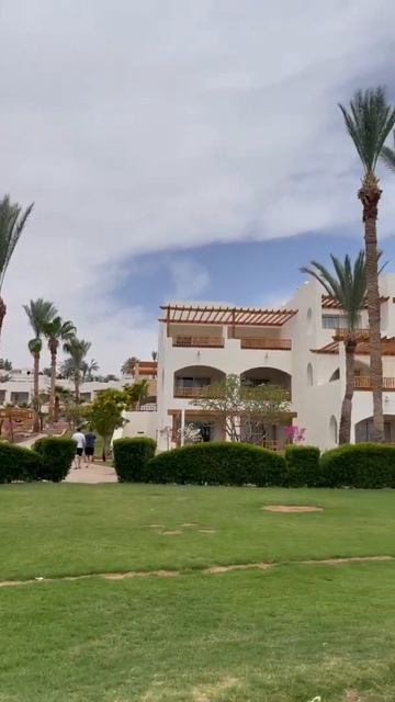 Egypt 2022. Hotel Albatros Royal Grand. Sharm el Sheikh. Red Sea. Египет. Шарм эль Шейх смотреть онлайн