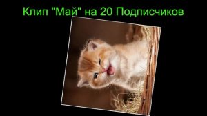 КЛИП «МАЙ» НА 20 ПОДПИСЧИКОВ!
