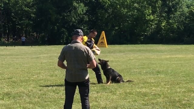 Горбунова Ю. и Кира, КР2018, Бобров, С86 вторая часть смотреть онлайн