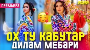 Ох Ту Кабутар 🥰 Дилам Мебари /Бехтарин Суруд/ Kabutar ❤ Хит! 2022
