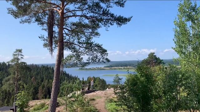 2 день в СРАТОВАЛЕ😝. КОШКА В ЛЕСУ🐱 смотреть онлайн