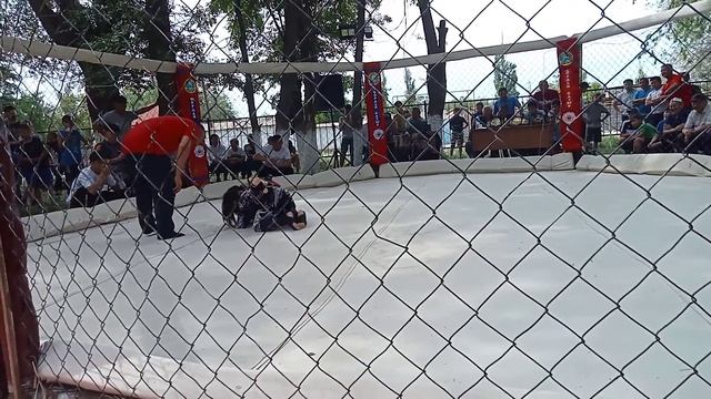 Канат Альмира ММА Кордай батыр. 02.05.2022 смотреть онлайн