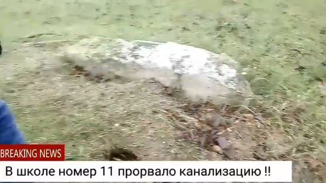 Новости Мухосранска смотреть онлайн
