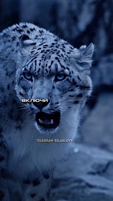 Если хочешь измениться смотреть онлайн