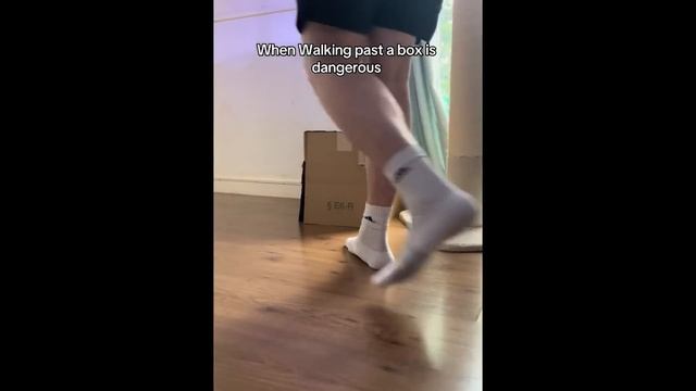 Своенравные кошки - Самые смешные видео о кошках #4