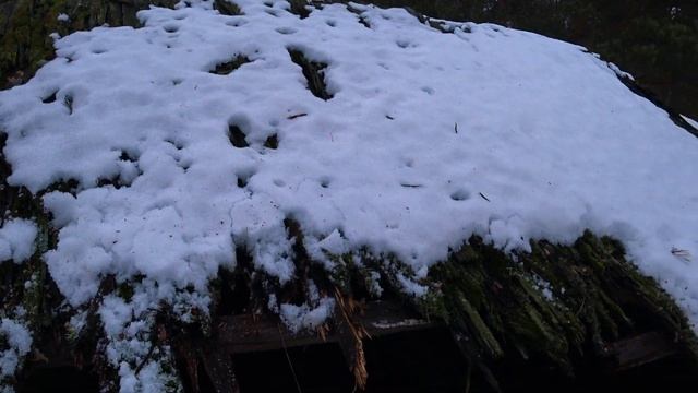 НУ НАКОНЕЦ-ТО ВЗЯЛСЯ ЗА ДОМИК НА ЛЕСНОМ ХУТОРЕ!!! смотреть онлайн