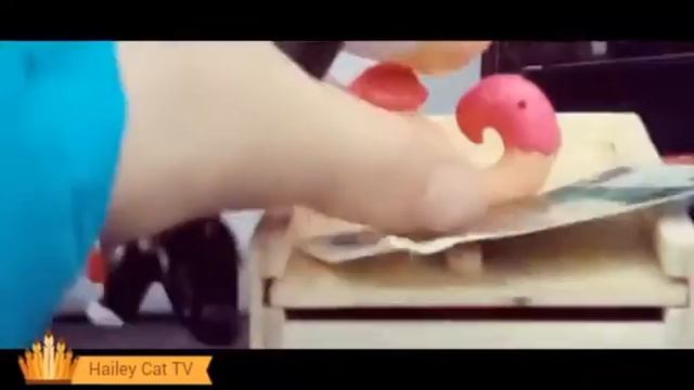 LPS:Секрет грозного клана 1 серия("Заблудились!") смотреть онлайн
