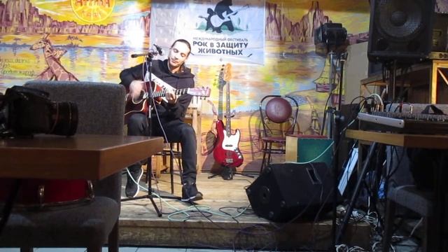 Кафе Африка В защиту хомячков Санкт Петербург -3 смотреть онлайн