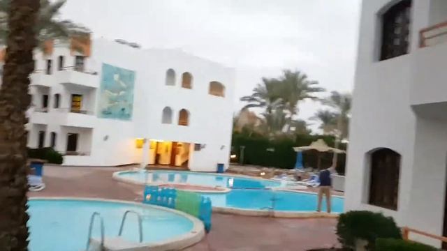 Gafy resort 4* Sharm el Sheikh 2017-2018 Пляж ч2 смотреть онлайн