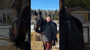 Как перестать бояться лошадь? Несколько волшебных правил от ЦКО "Караван"! #караванинино