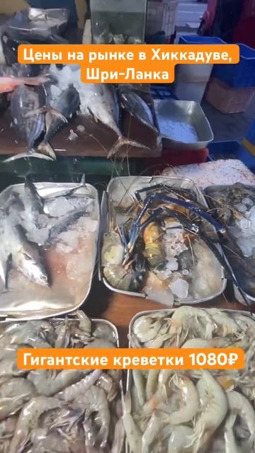 Цены на морепродукты на Шри Ланке в 2023 2024 году #шриланка смотреть онлайн