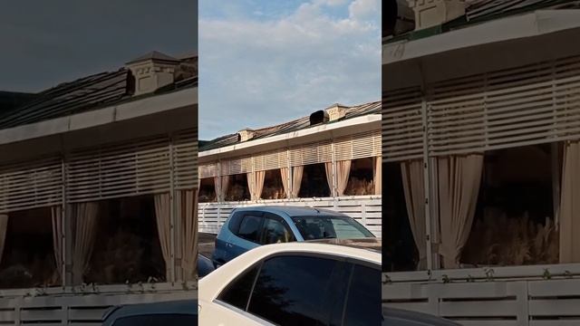 Омск🔥Пожар по ул Ленина/Бывший дом купчихи Шаниной ресторан "Хочу Пури" выгорел внутри полностью🧐 смотреть онлайн