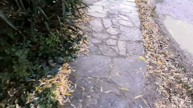 Архипо-осиповка. Кемпинг Сосновый берег и Назарова дача.Август 2020(4) смотреть онлайн