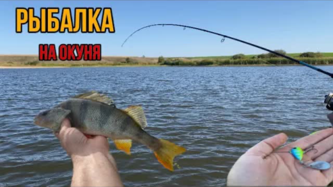 ЛУЧШАЯ ПРИМАНКА НА ОКУНЯ!РЫБАЛКА на Спиннинг!! смотреть онлайн