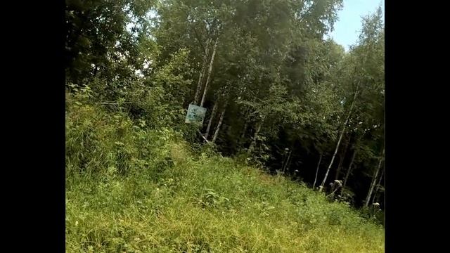Поход на Шиверную Веснину. Часть 1. По дороге с комарами. смотреть онлайн