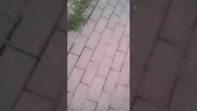 Гуляем на детской площадке,! смотреть онлайн