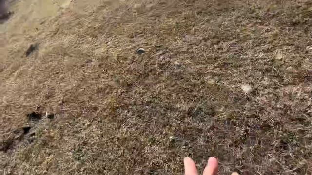 ВЛОГ Первые дни в поселке Себян-Кюель. Съездили в поход с семьей смотреть онлайн