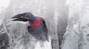 Отважный джигит. Серия 9 «Слушай советы». Мультфильм