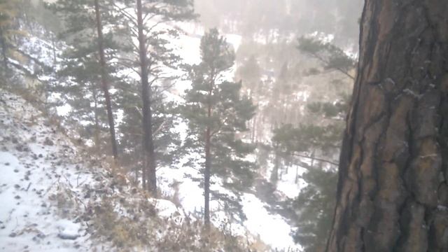 Широкий обзор на Аршан - Саяны смотреть онлайн