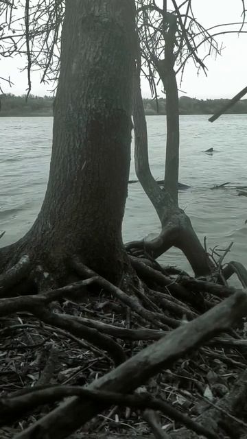 Река Кизань смотреть онлайн