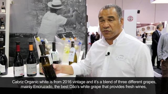 GlobalWines Prowein 2017 смотреть онлайн