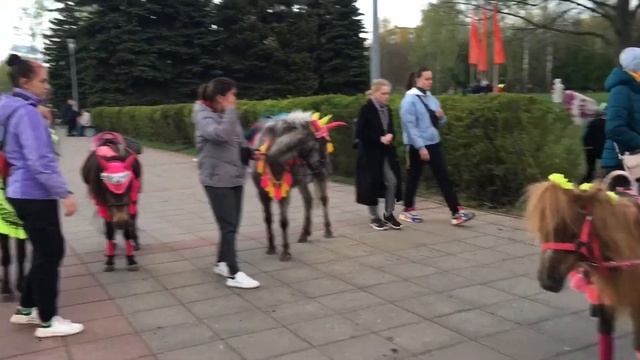 День Победы в Королёве смотреть онлайн