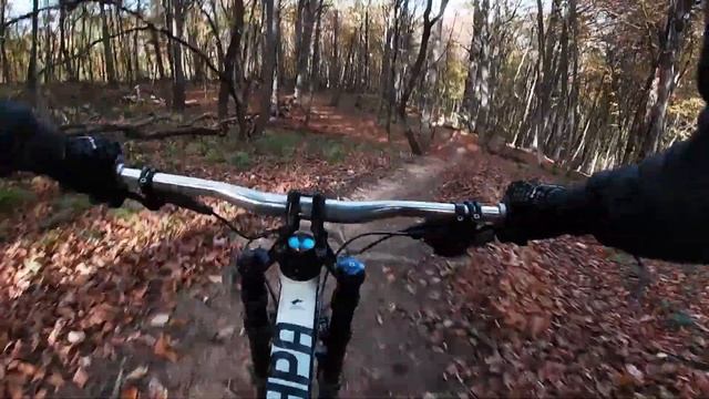 Нижний Архыз трасса Wayra DH Осень 2020 смотреть онлайн