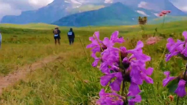 Адыгея смотреть онлайн