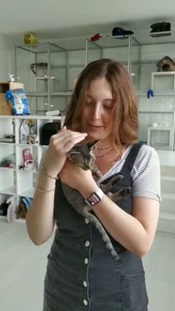 Виктория и Василиса смотреть онлайн