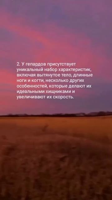 Факты о гепарпах #факты #гепард #реки смотреть онлайн